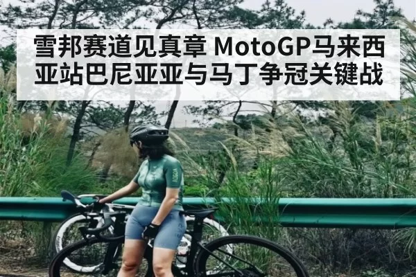 雪邦赛道见真章 MotoGP马来西亚站巴尼亚亚与马丁争冠关键战